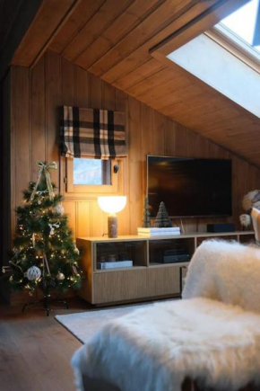 Appartement avec vue sur les Dômes du Miage